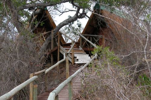 Pezulu Tree House (4)